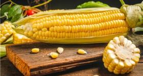 玉米价格跌至近三年低点！玉米价格下跌原因是什么？
